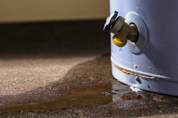 Best Flooded house restoration  in Eagle Grove, IA