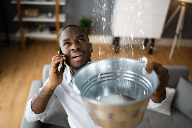 Best Basement water damage restoration  in Eagle Grove, IA