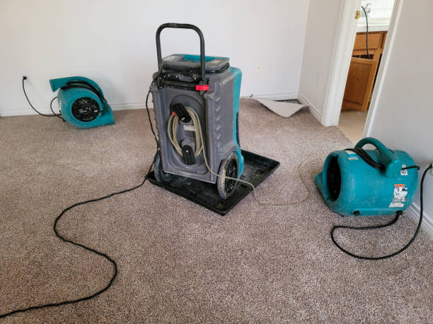 Best Mold removal after water damage  in Eagle Grove, IA