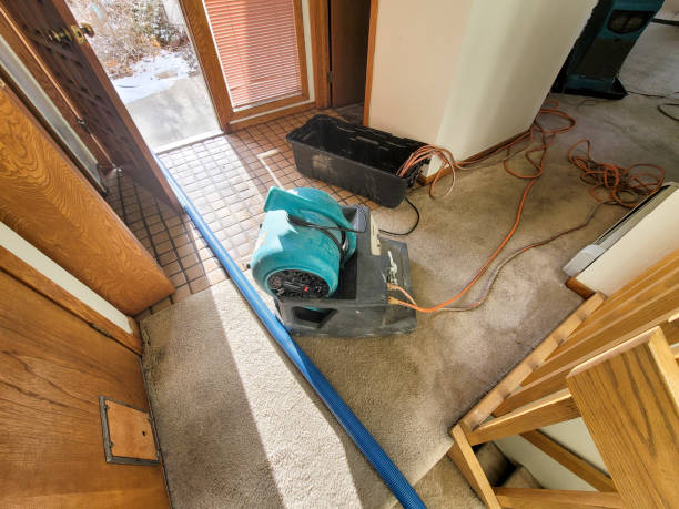 Best Local water damage restoration  in Eagle Grove, IA