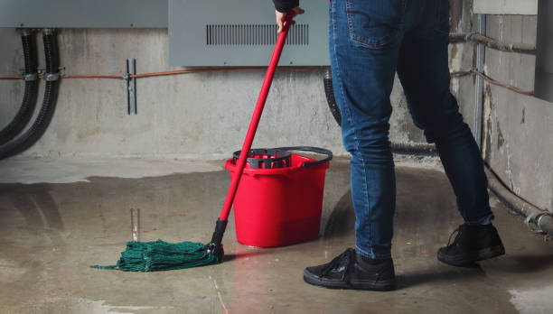 Best Fire Damage Restoration  in Eagle Grove, IA
