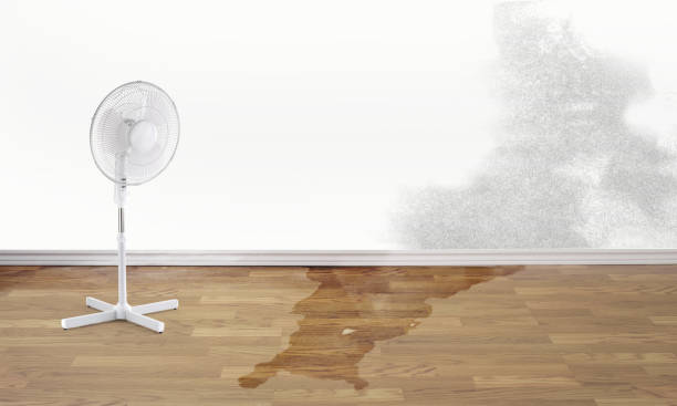 Best Emergency water damage restoration  in Eagle Grove, IA