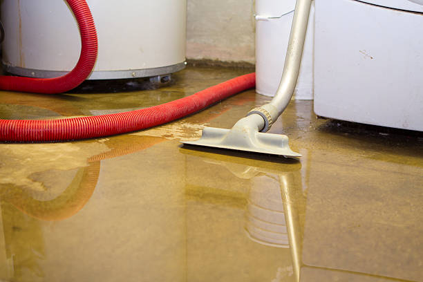 Best Flooded house restoration  in Eagle Grove, IA